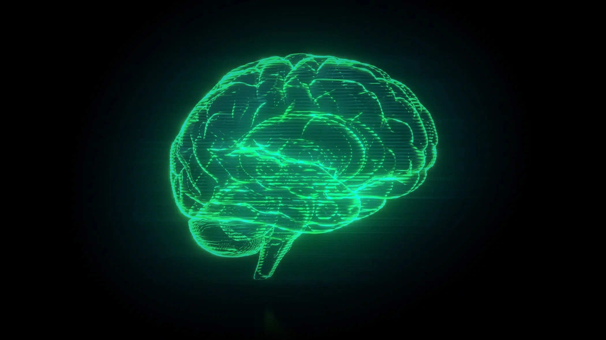Brain hologram visualization with scanlines